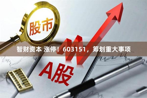 智财资本 涨停！603151，筹划重大事项