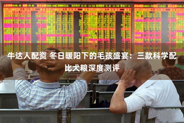 牛达人配资 冬日暖阳下的毛孩盛宴：三款科学配比犬粮深度测评