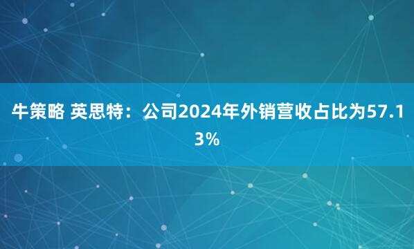 牛策略 英思特：公司2024年外销营收占比为57.13%