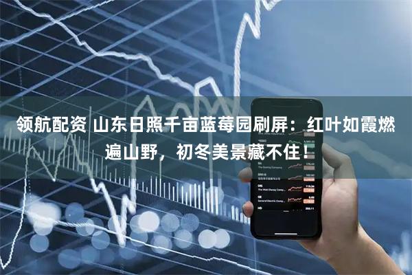 领航配资 山东日照千亩蓝莓园刷屏：红叶如霞燃遍山野，初冬美景藏不住！